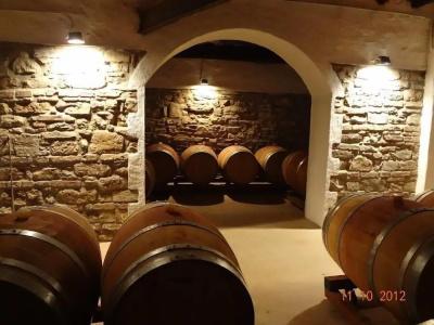 Fattoria Il Lago - 13