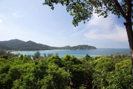 Wattana - 18