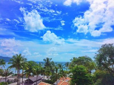 Bearpacker Patong Hostel - Sha Extra Plus - 18