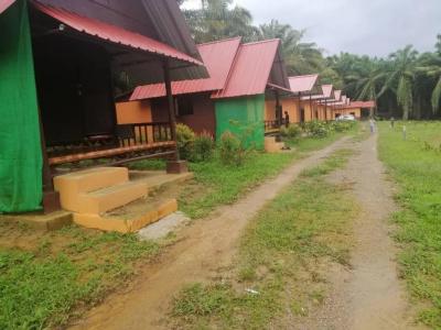 Khao Sok Evergreen House - 42