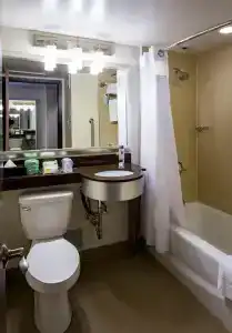 Holiday Inn Houston Downtown, An Ihg - 53