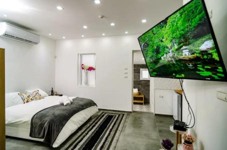 Kinneret Lodging - 27