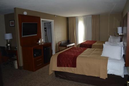 Comfort Inn Savannah - 3