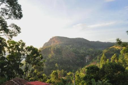 Sky Green Resort - 33