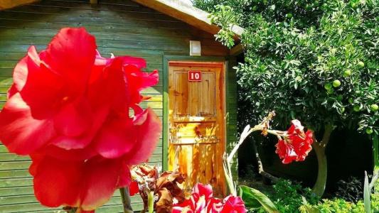 Olympos Yakamoz Pansiyon - 8