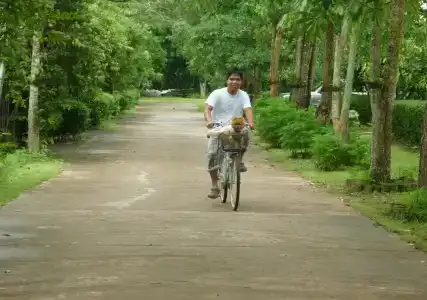 Tanita Lagoon Resort - 11