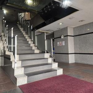 Ace Inn Asakusa - 11