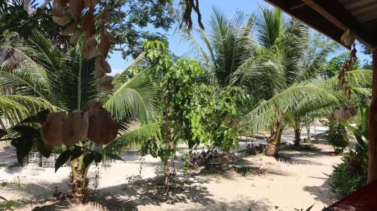 Dolphin Bay - 12