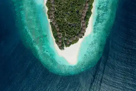 Avani+ Fares Maldives Resort - 42