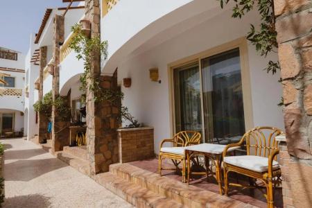 Camel Dive Club & - Boutique - 36