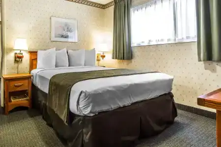 Quality Inn & Suites - 59