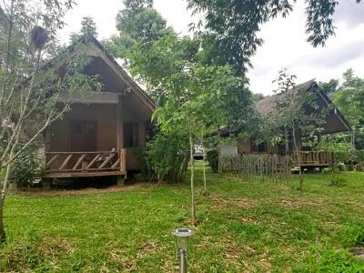 Chiang Dao Hut - 65