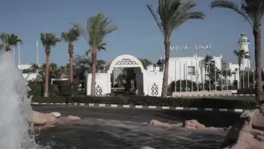Sunrise Remal Beach Resort - 8