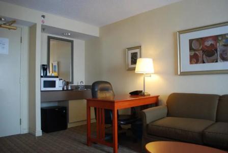 Holiday Inn & Suites Kanata, an IHG - 53