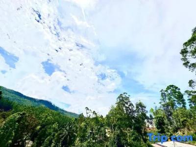 The Ella Nature Life Guest Inn - 78