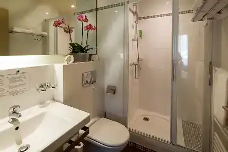 Best Western Plus hôTel De l'Arbois - 32