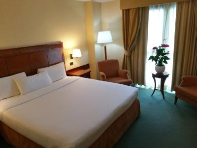 Mercure Leonardo da Vinci Rome Airport - 12