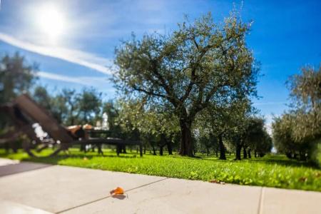 Quercia Belvedere Relais - 83