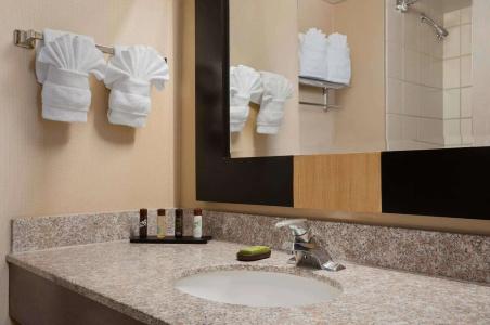 Embassy Suites by Hilton Las Vegas - 9