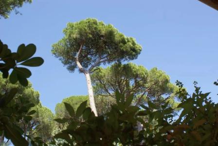 Hôtel Les Jardins De Sainte-Maxime - 106