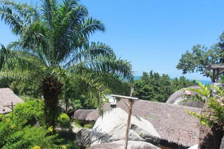 Thongtapan Resort - 61
