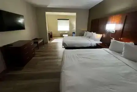 Microtel Inn & Suites by Wyndham College Station - 110