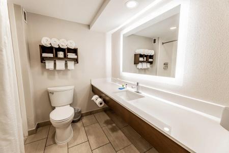 Holiday Inn Express Indianapolis South, An Ihg - 52