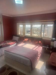 Isis Hostel 2 - 47