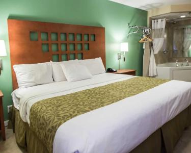 Rodeway Inn & Suites Fort Lauderdale Airport & Cruise Port - 59