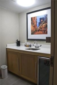 Hampton Inn & Suites Denver-Speer Boulevard - 71