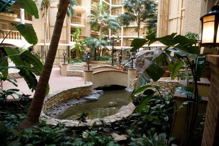 Embassy Suites Austin - Central - 24