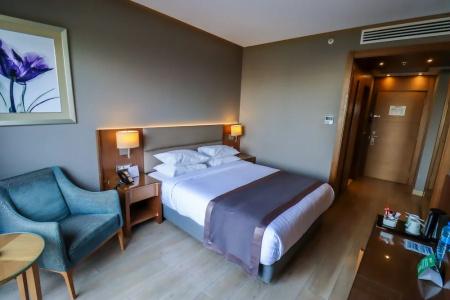 Holiday Inn Bursa - City Centre, An Ihg - 82
