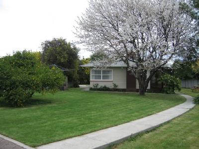Tudor Lodge - 21
