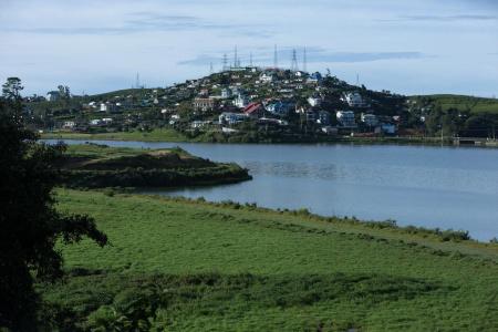 Camellia Lake - 18