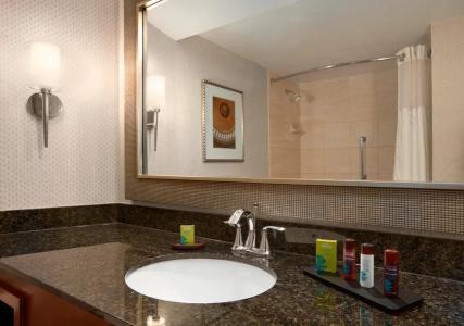Embassy Suites by Hilton Crystal City National Airport - 10