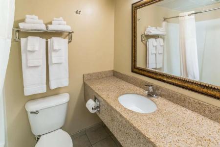Quality Inn & Suites Downtown - 57
