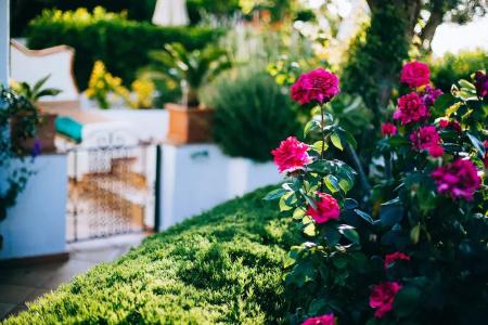 Il Giardino dell'Arte - 53