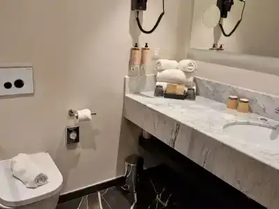 Mercure Orléans Centre Bords de Loire - 37