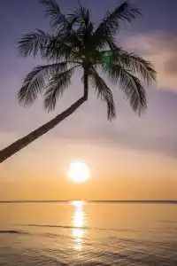 Samui Paradise Chaweng Beach Resort & Spa- Sha Plus - 24