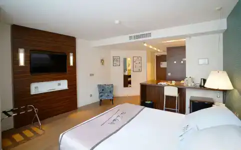 Best Western Plus Hôtel Litteraire Alexandre Vialatte - 71