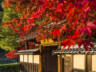 Suiran, a Luxury Collection, Kyoto - 28