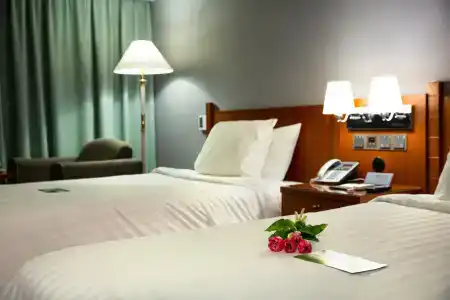Paragon - 2