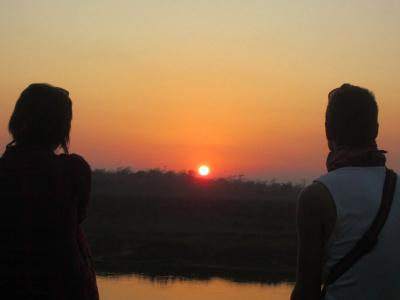 Jungle Sunset Camp - 2