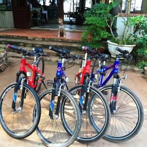 Bamboo Cottages - 14