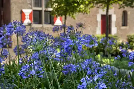 KruisherenMaastricht - 17