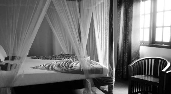 i & i Rest - 59