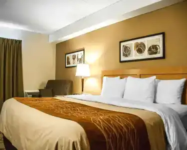 Comfort Inn - 4