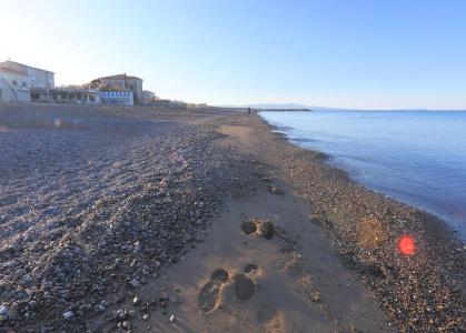 Cecina Beach - 17