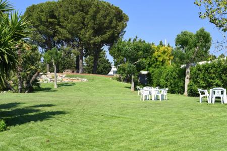 d'Aragona - 26