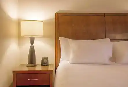 Hilton Garden Inn Downtown - 69